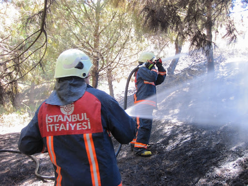 İstanbul’un Sarıyer ilçesi Orman Yangını
