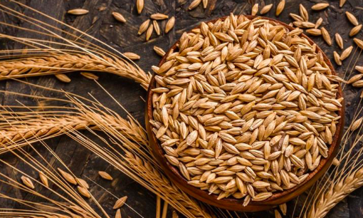 Buğday ve arpa alım fiyatları Güneydoğulu üreticileri memnun etti.