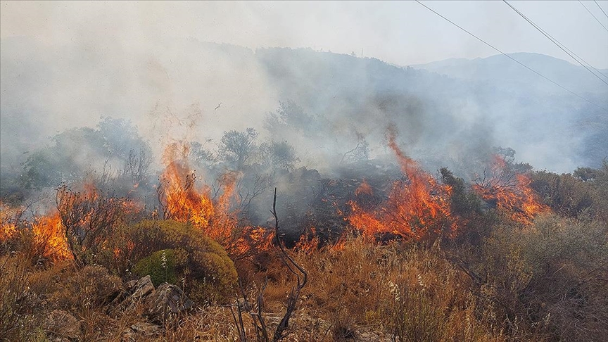 Orman ve makilik alanlarda çıkan yangınlara müdahale ediliyor