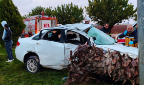 Şanlıurfa’da ağaca çarpan otomobildeki 4 kişi yaralandı