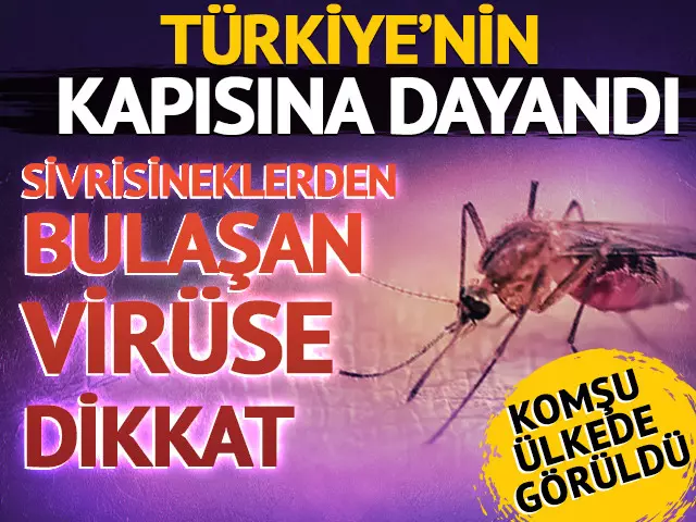 Sivrisineklerden bulaşan virüse dikkat!